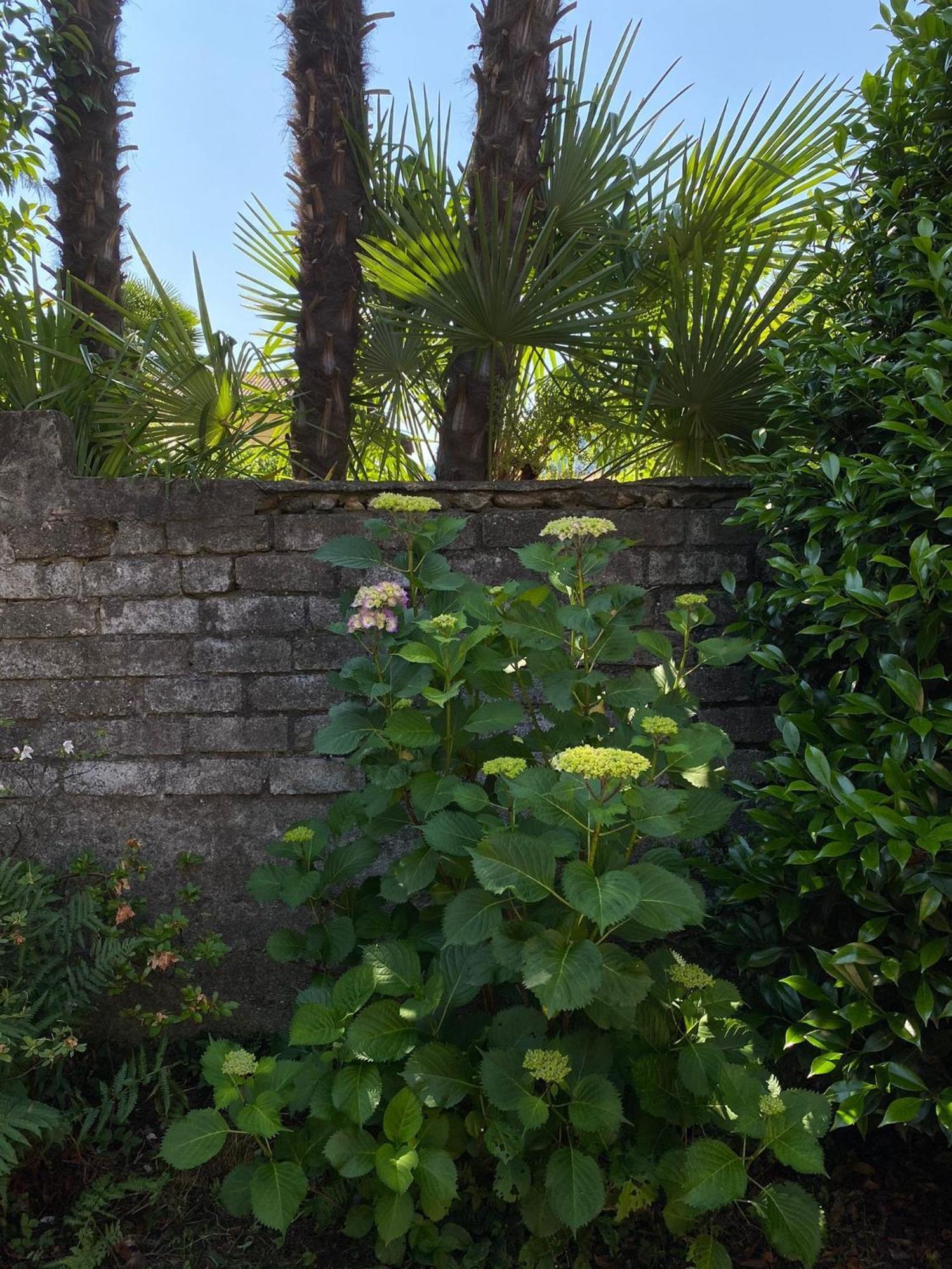Casa Tranquilla Βίλα Cannobio Εξωτερικό φωτογραφία